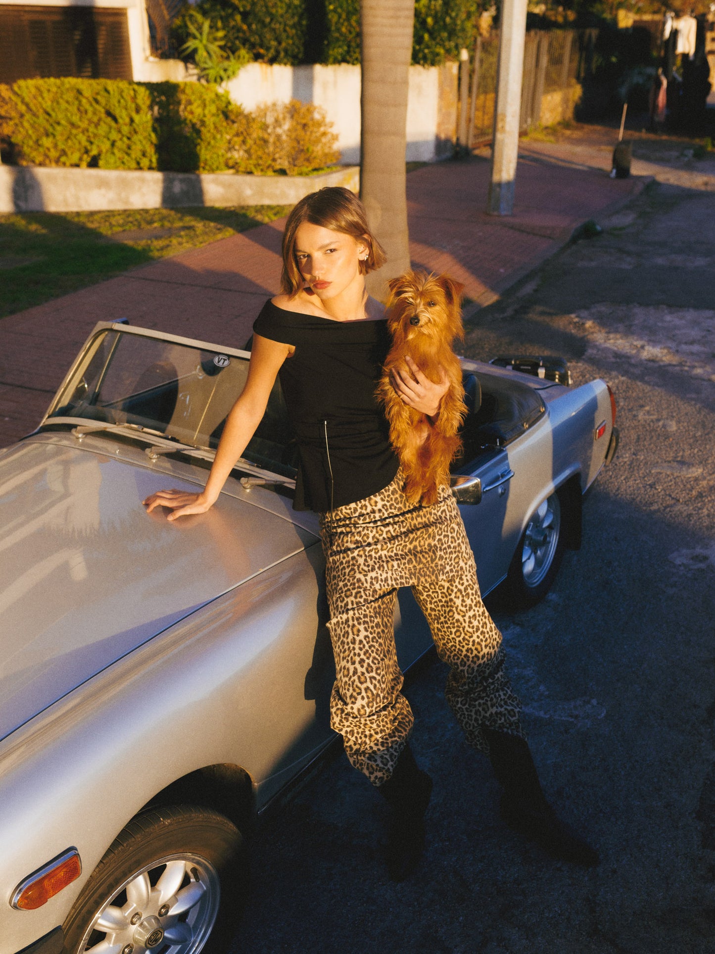 4887203
