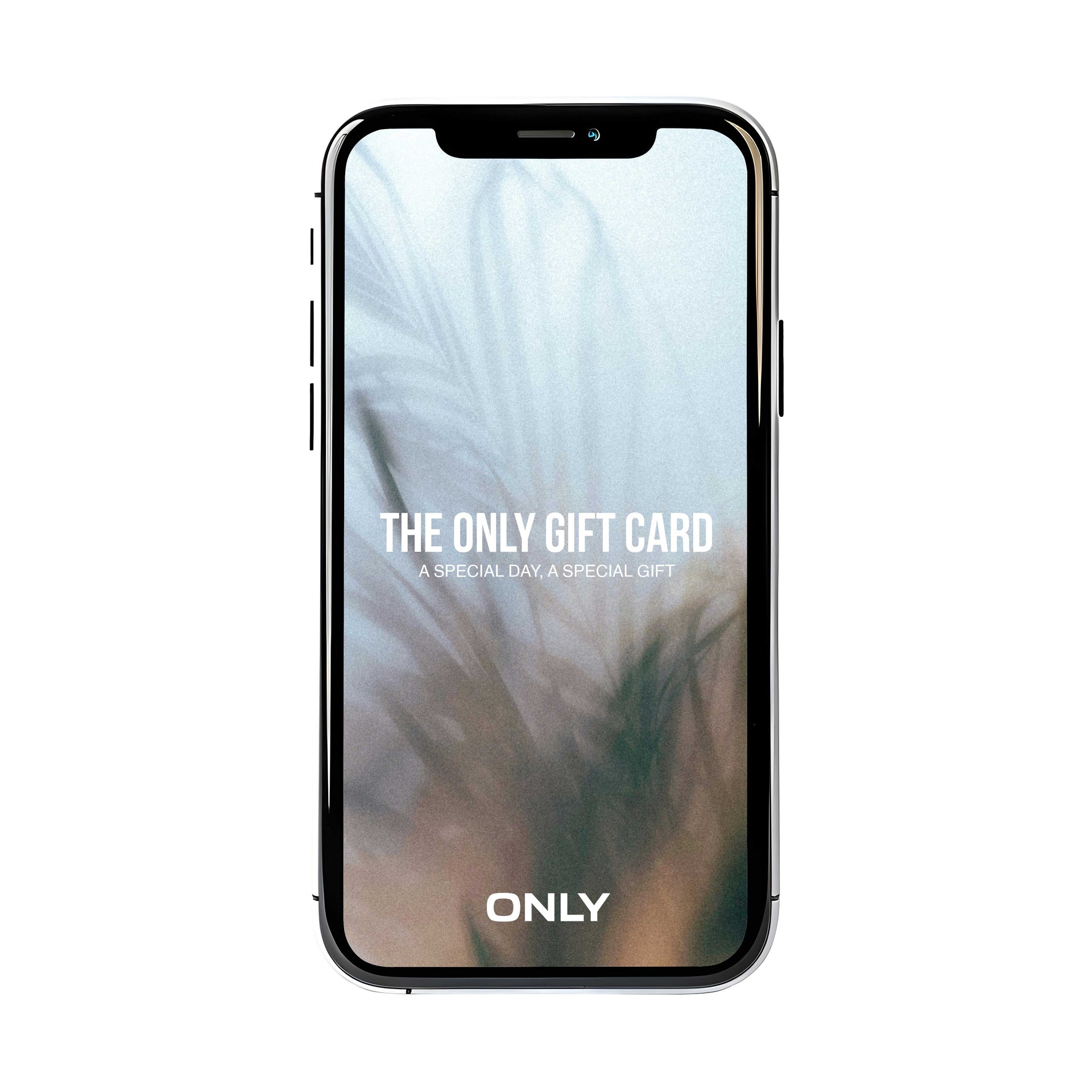 e-GIFT CARD VIRTUAL
