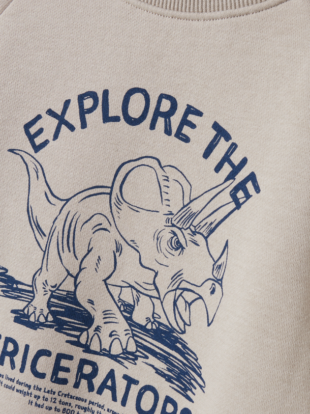 Product SUDADERA VION - Pure Cashmere Print:Triceratops - Image 2