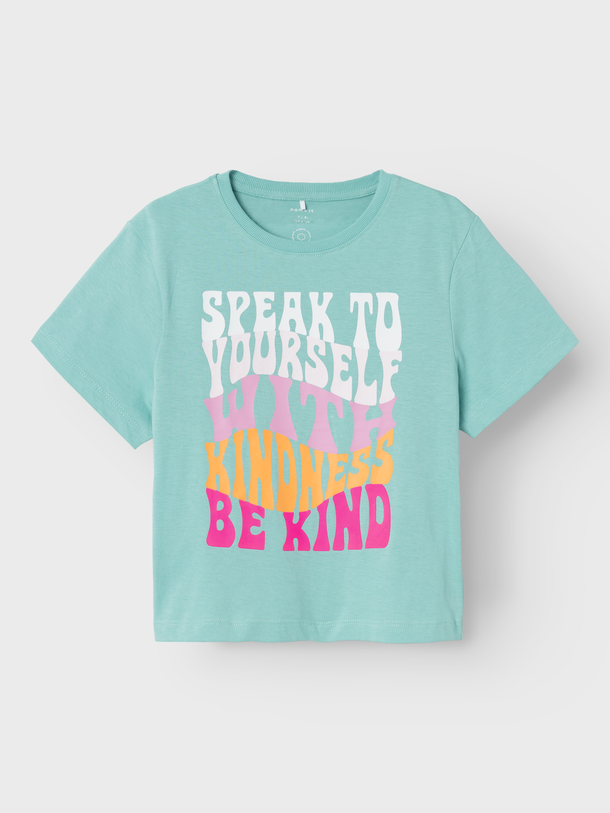 Product CAMISETA LINDNES - Wasabi - Image 1