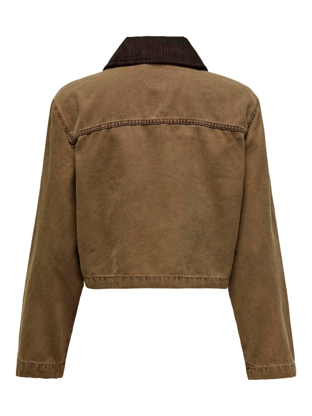 Product CHAQUETA CAVA - Bistre Detail:COLLAR CHOCOLATE TORTE - Image 2