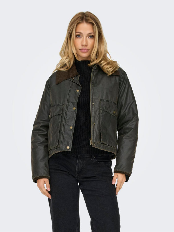 Product CHAQUETA MOUNTAIN - Peat Detail:Chocolate Brown - Image 2