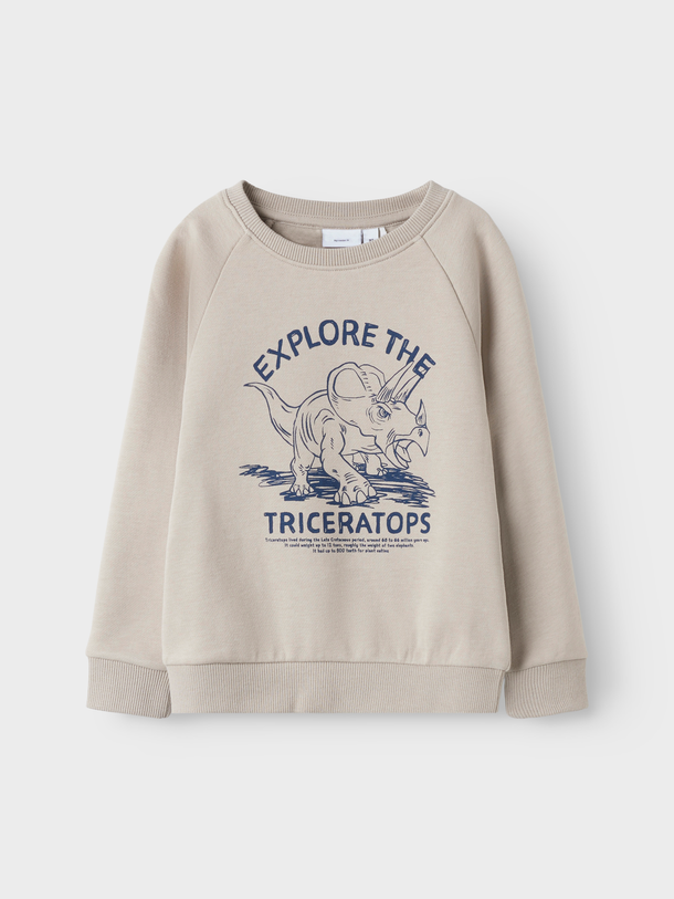 Product SUDADERA VION - Pure Cashmere Print:Triceratops - Image 1