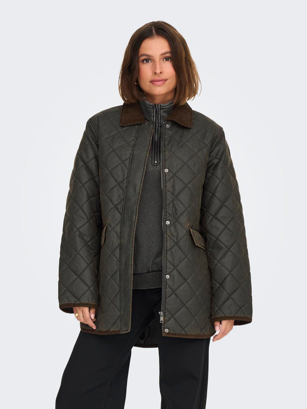 Product CHAQUETA MOUNTAIN - Peat Detail:Chocolate Brown - Image 2