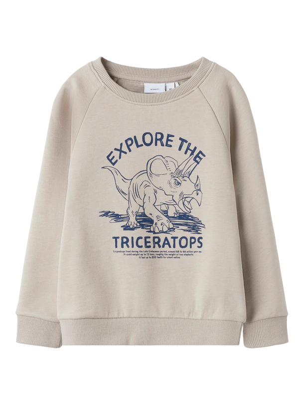 Product SUDADERA VION - Pure Cashmere Print:Triceratops - Image 3